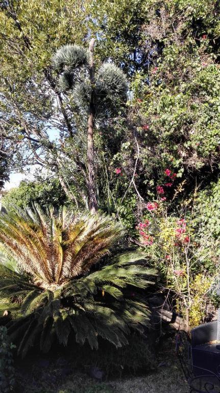 Lucrezia Garden Catania