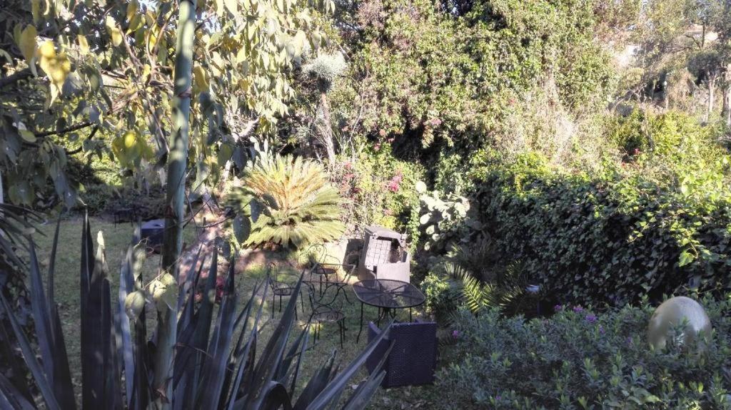 Lucrezia Garden Catania Holiday home