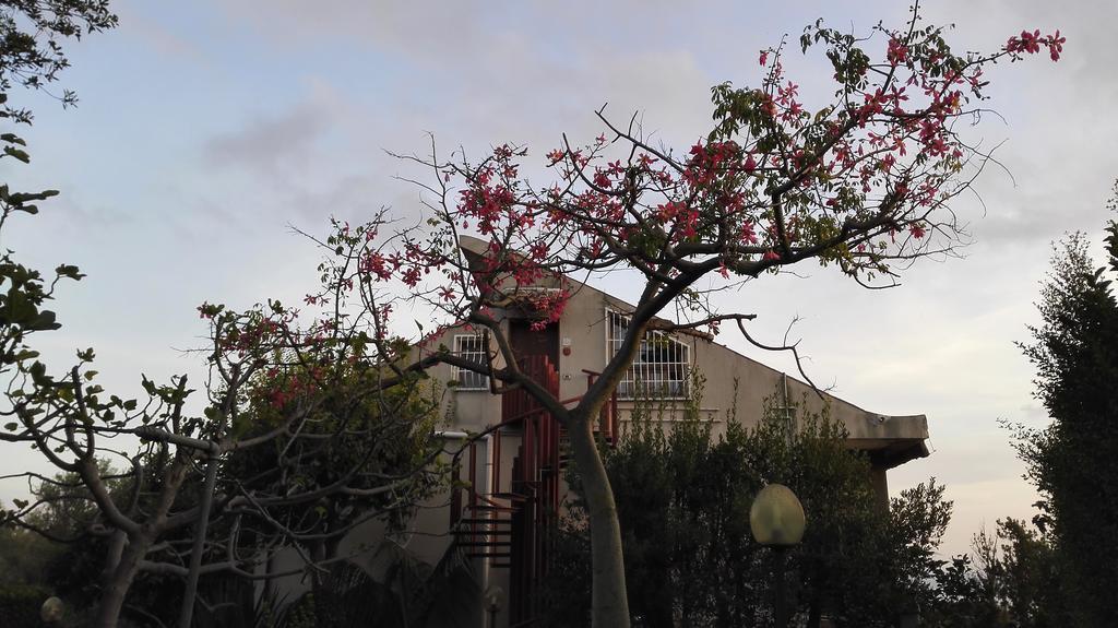 Lucrezia Garden Catania Holiday home San Gregorio di Catania